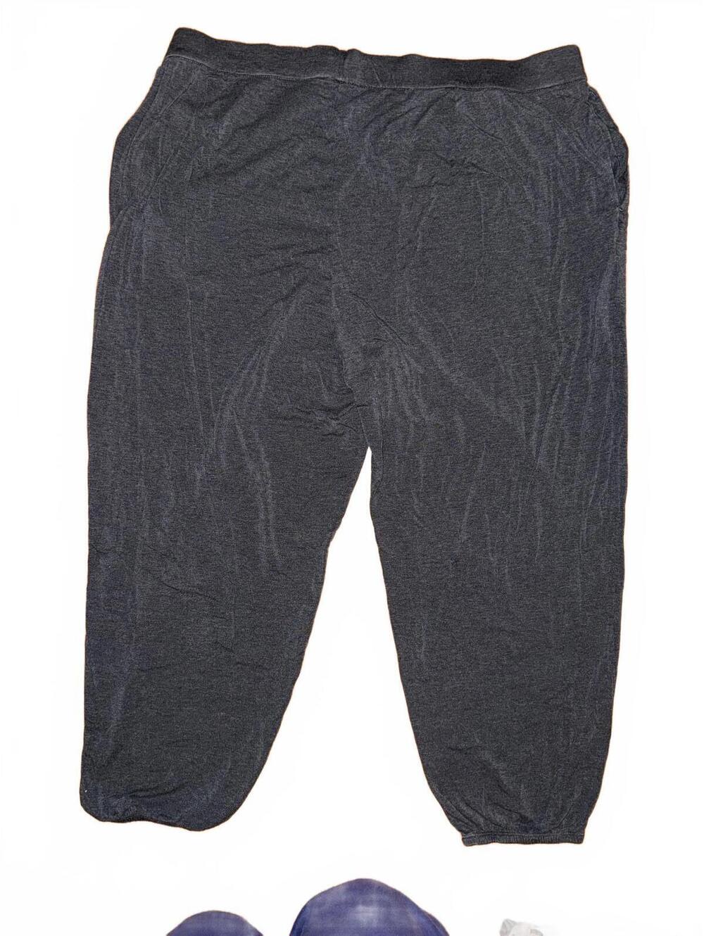 Eileen Fisher womens pull on lightweight gray tencel sweatpant sz 1X comficore - Picture 2 of 8